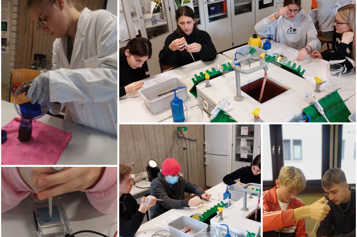 Molekularbiologisches Praktikum der JG II